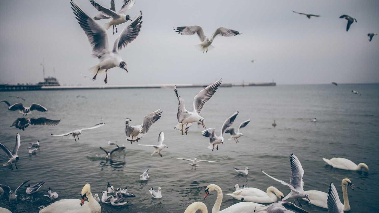 图片[2]-**冒泡网赚：揭秘在线平台新盈利模式**-冒泡网