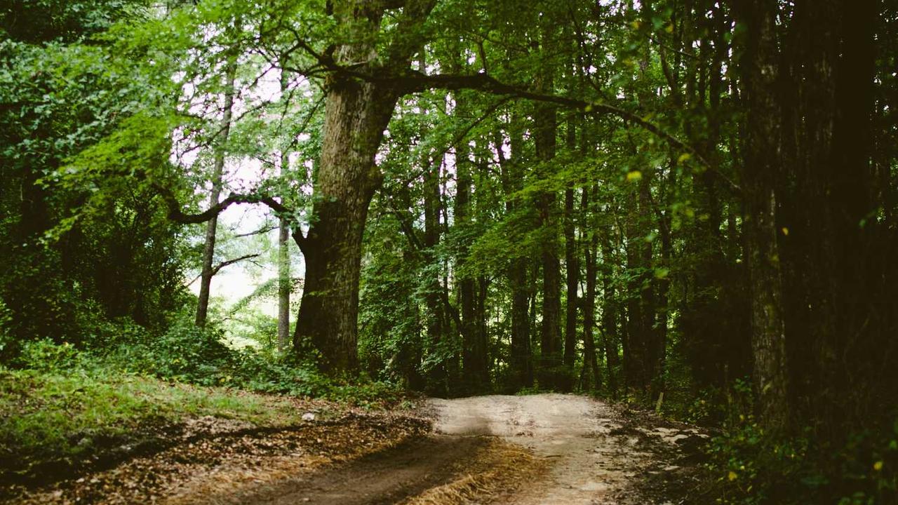 冒泡网赚：驾驭新兴平台实现收入倍增的策略-冒泡网