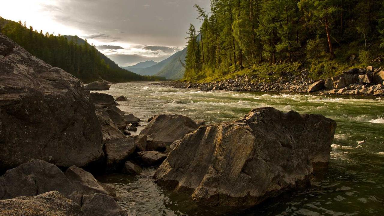 **冒泡网赚：揭秘新兴平台的盈利潜力与策略**-冒泡网