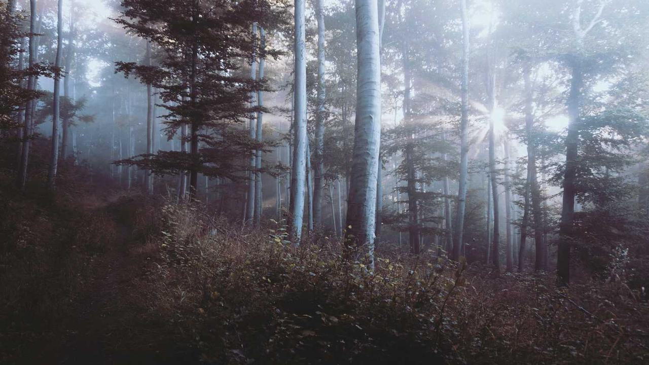 图片[3]-**冒泡网赚：揭秘新兴平台的盈利潜力与策略**-冒泡网