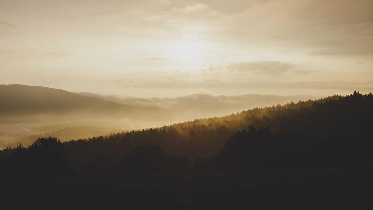 冒泡项目社区：共创价值与创新合作的新平台-冒泡网