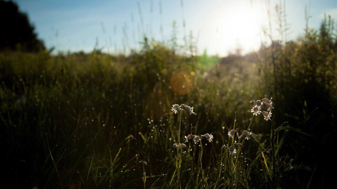 图片[2]-**冒泡网赚：挖掘线上盈利的潜力与策略**-冒泡网