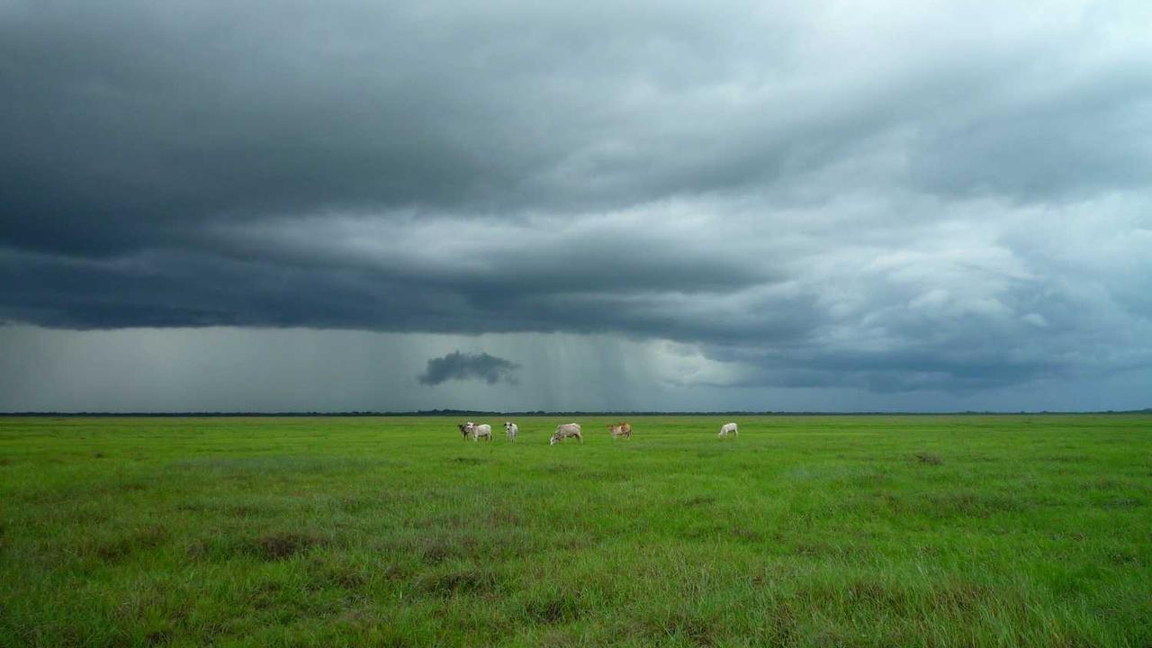 **冒泡网赚：开启你的网络财富之旅与新机会**-冒泡网