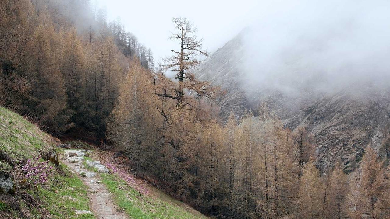 图片[2]-冒泡网赚：探索多元化在线收入的有效路径-冒泡网