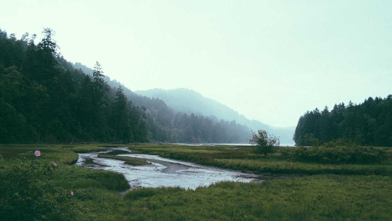 图片[2]-冒泡网创社区：数字时代的创作者赋能平台-冒泡网