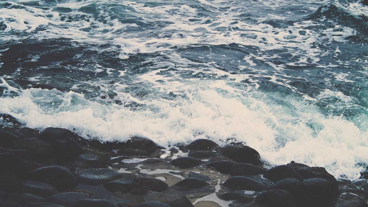 图片[2]-深度解析冒泡项目社区的潜力与发展机遇-冒泡网