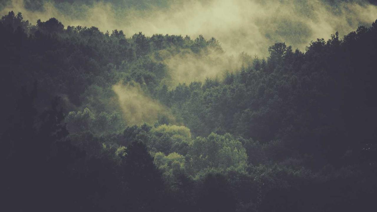 图片[3]-冒泡社区：共创数字时代的创新与合作平台-冒泡网