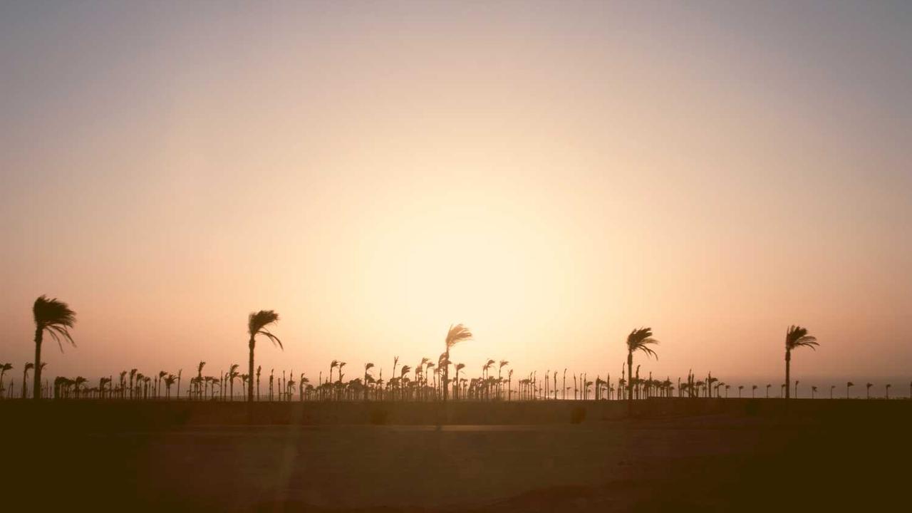 冒泡网赚：挖掘网络平台的潜在盈利机会与策略-冒泡网