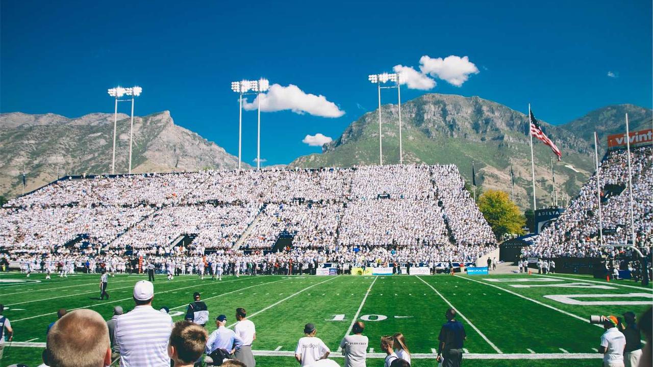 揭秘“冒泡网创社区”：数字创新与协作的新生态-冒泡网