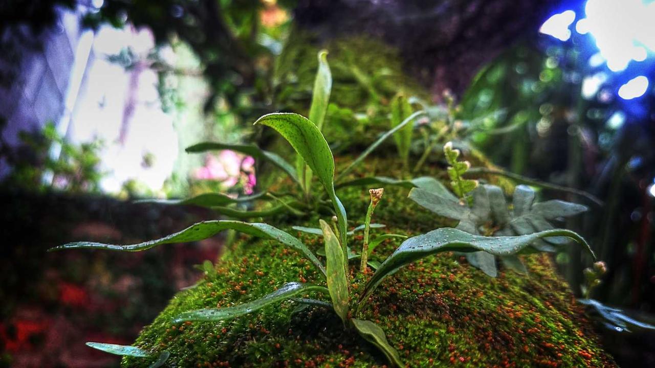 冒泡网赚：探寻新兴在线收益模式的机遇与风险-冒泡网