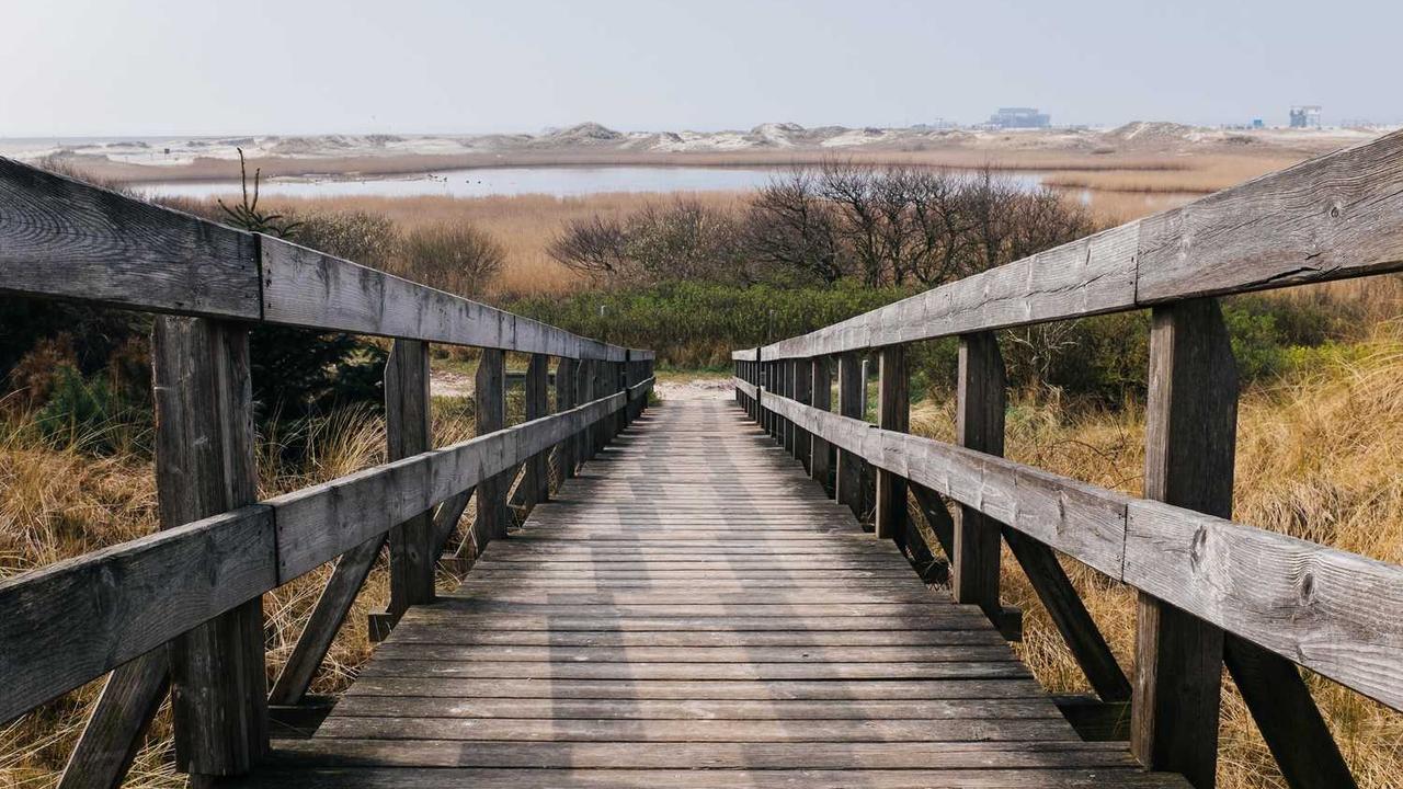 图片[2]-**冒泡网赚：探索多元化途径实现收入提升**-冒泡网