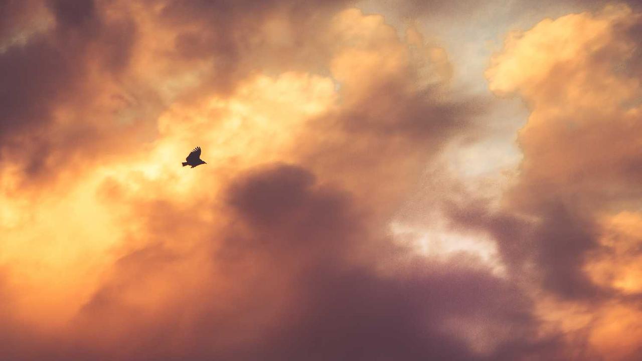 图片[3]-**冒泡网赚：探索多元化途径实现收入提升**-冒泡网