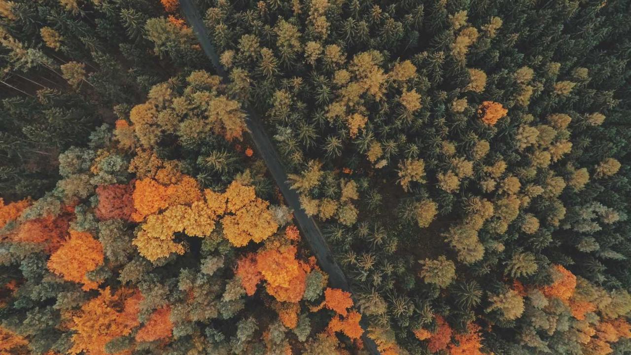 图片[3]-**冒泡项目社区：协作与创新的共享平台**-冒泡网