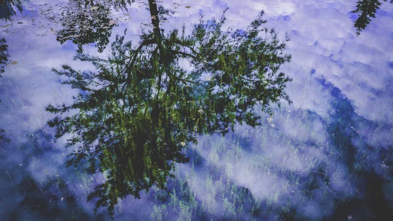 冒泡网赚：揭示新兴在线盈利模式的机会与挑战-冒泡网