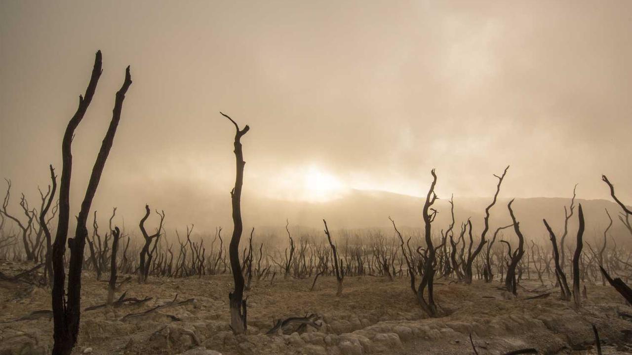 图片[2]-探索冒泡社区：构建高效网络创作与共享平台-冒泡网