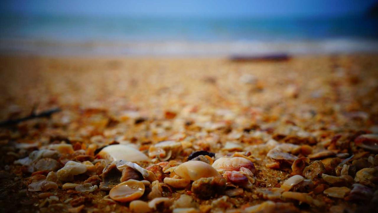 探索冒泡社区：连接创意与合作的创新平台-冒泡网