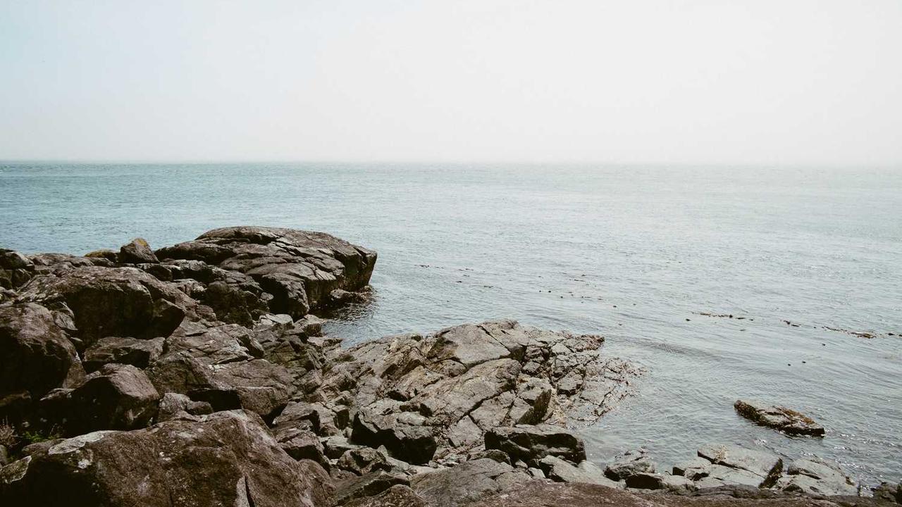 通过冒泡网实现高效在线创收的方法与策略-冒泡网