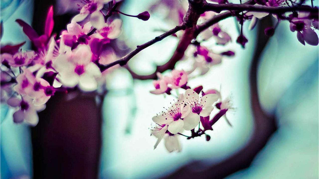 图片[3]-冒泡网创社区：开启在线创业的新协作模式与发展机会-冒泡网