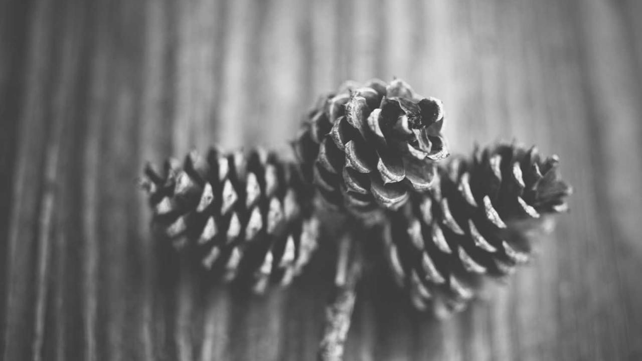 图片[2]-**冒泡网赚：探秘在线平台新兴创收机会**-冒泡网