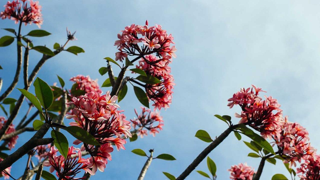 图片[2]-发掘冒泡项目社区中的合作机遇与创新潜力-冒泡网