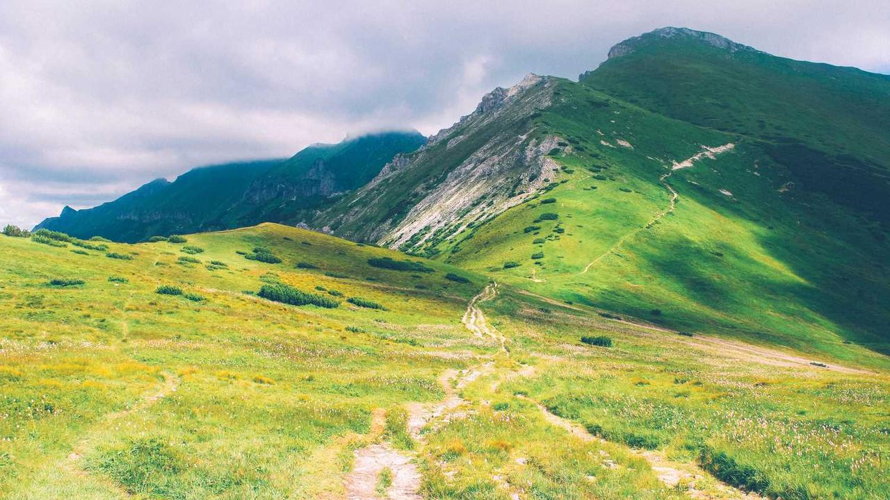 图片[2]-### 冒泡网创社区：激发数字创意与团队合作的新平台-冒泡网