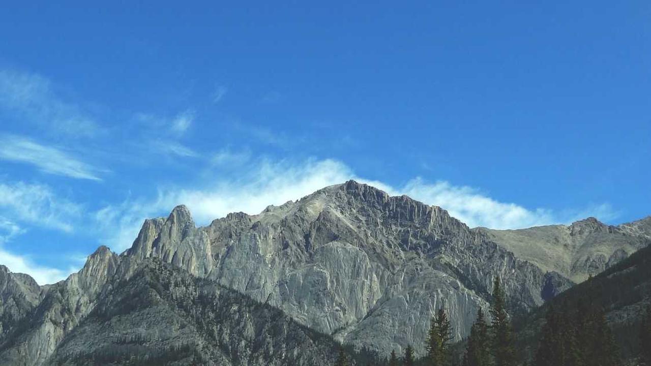 冒泡网赚：了解线上盈利的新机会与挑战-冒泡网