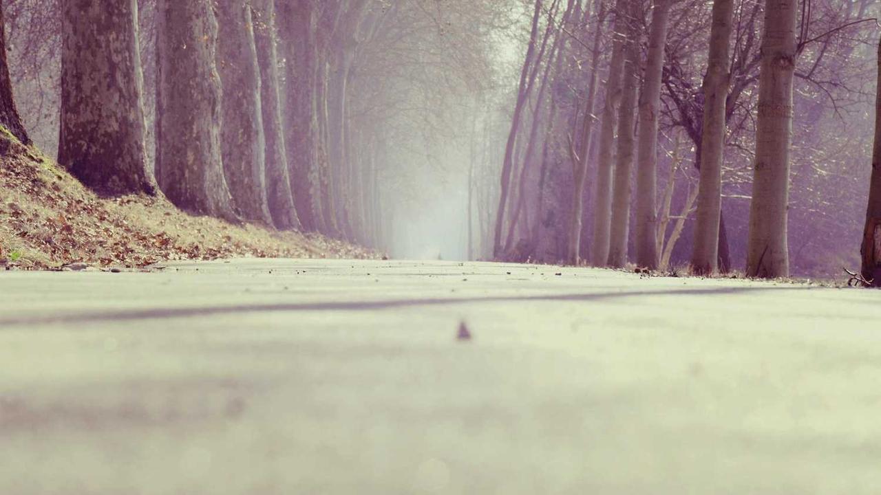 图片[3]-**深度解析冒泡网创社区的创新与发展**-冒泡网