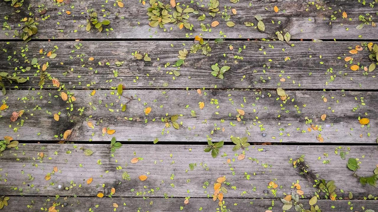 图片[3]-冒泡网创社区：助力创业者实现在线创新与成长-冒泡网