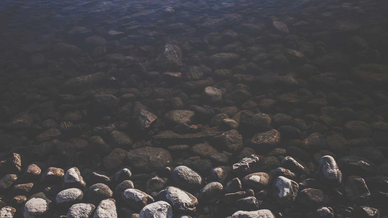 冒泡网赚：挖掘平台潜力，实现多元在线收益-冒泡网