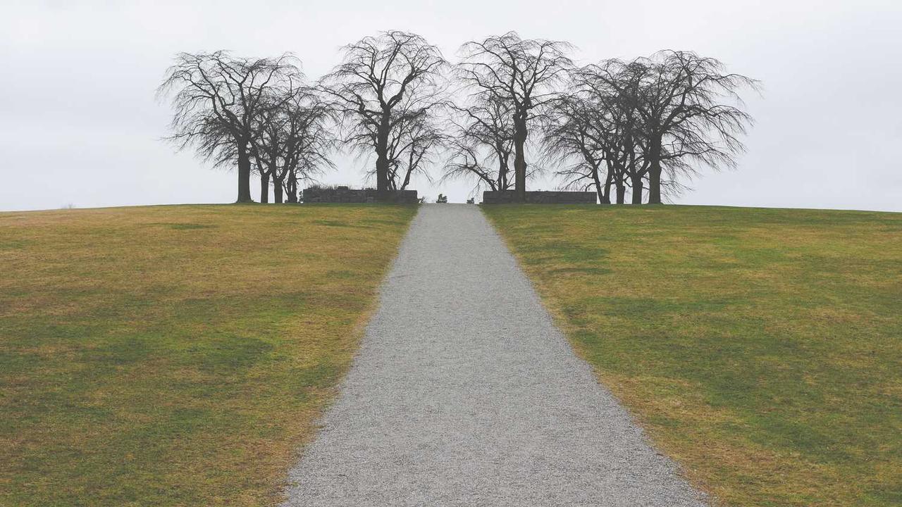 冒泡网创社区：点燃创作者潜能的全新生态平台-冒泡网