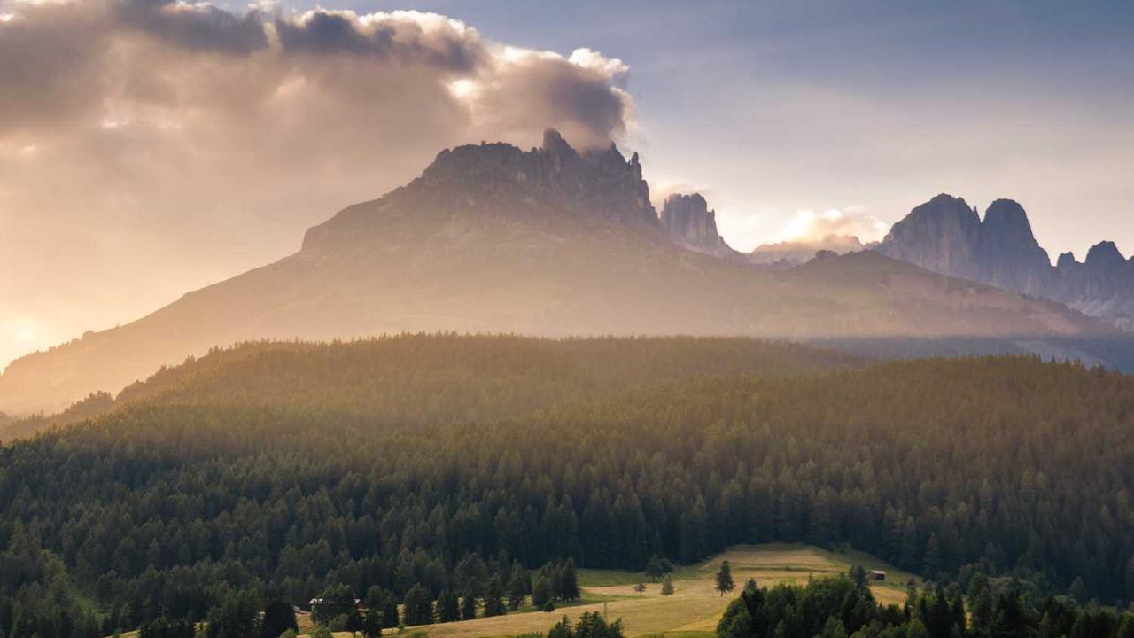 图片[2]-冒泡网创社区：点燃创作者潜能的全新生态平台-冒泡网