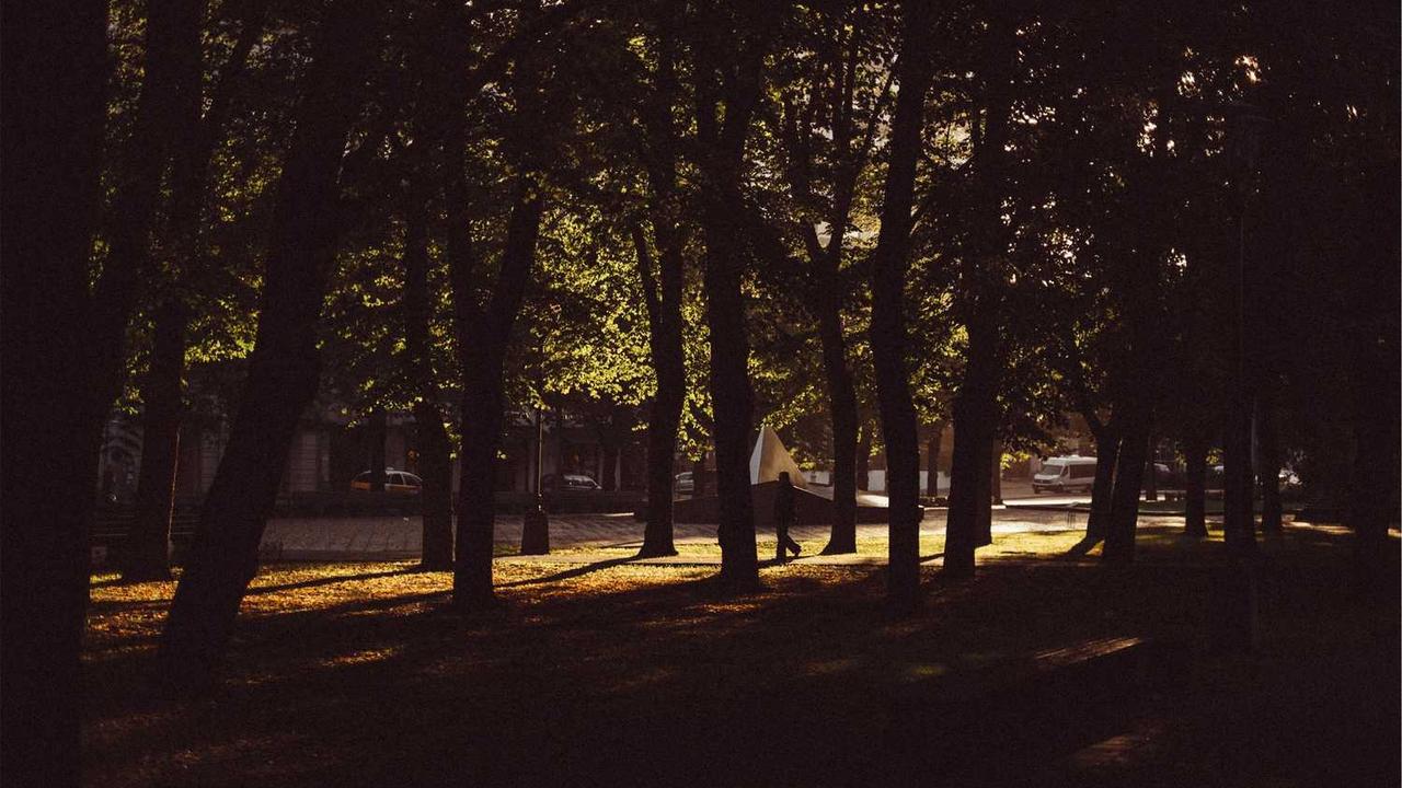 探寻冒泡网创社区的创新与合作潜力-冒泡网