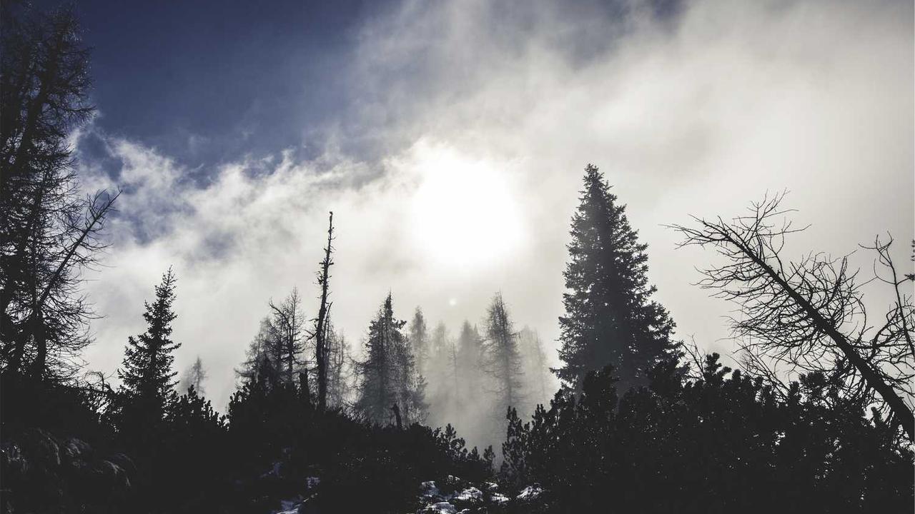 图片[3]-探寻冒泡网创社区的创新与合作潜力-冒泡网