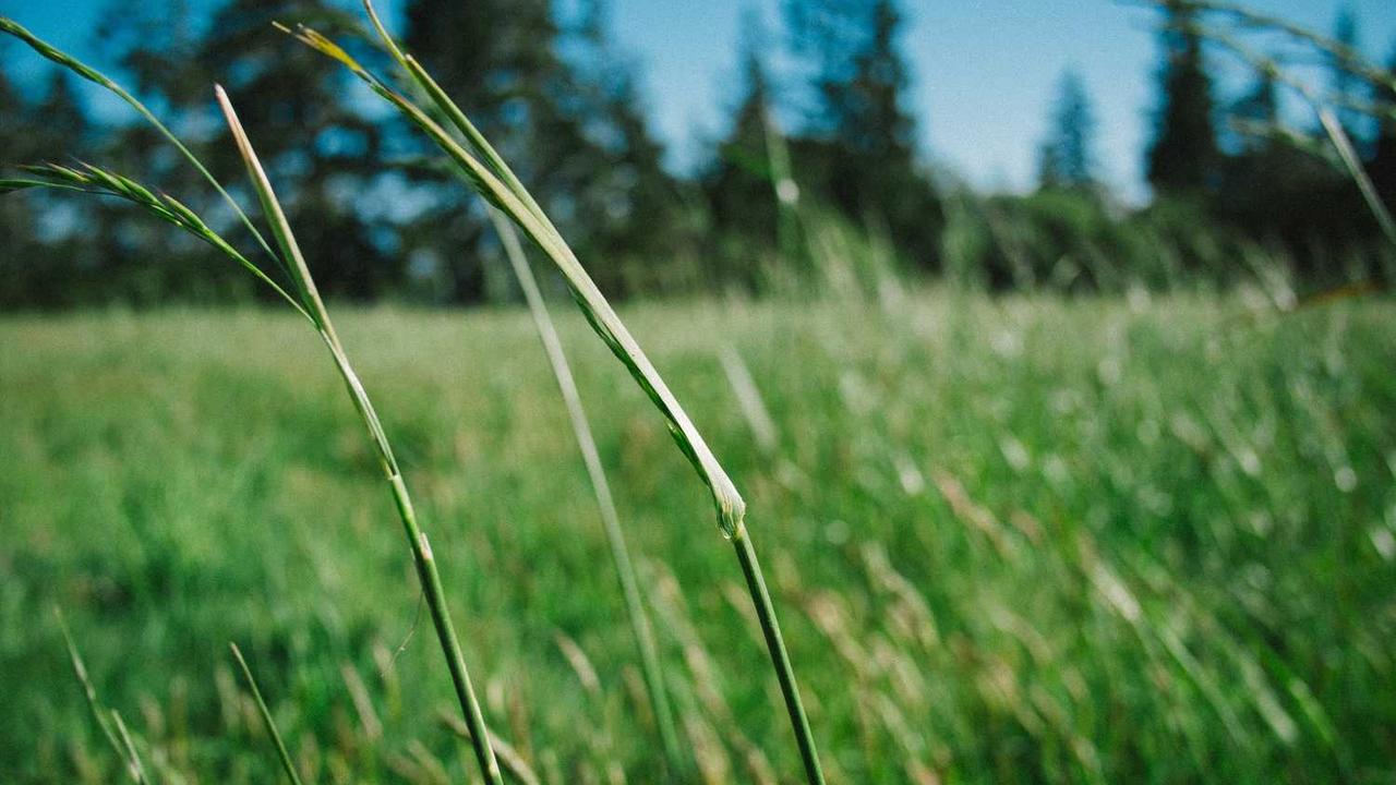 图片[3]-冒泡网创社区：连接创意与机会的数字平台-冒泡网