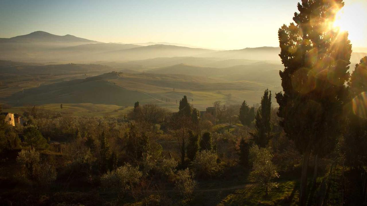 图片[2]-揭秘冒泡网赚：如何通过平台机制实现收益提升-冒泡网