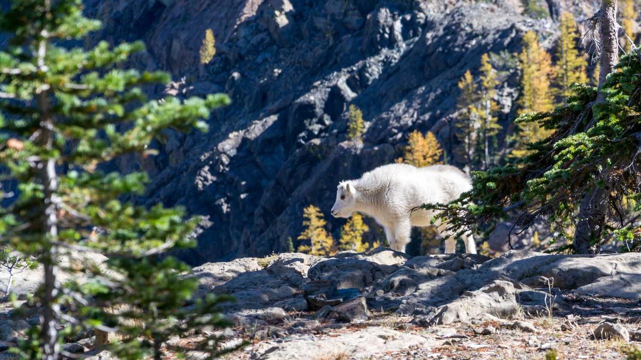 图片[3]-揭秘冒泡网赚：如何通过平台机制实现收益提升-冒泡网