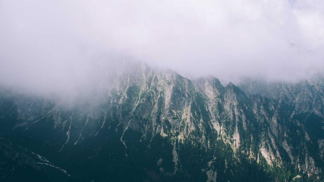 冒泡网创社区：探索在线创作与合作的新机遇-冒泡网