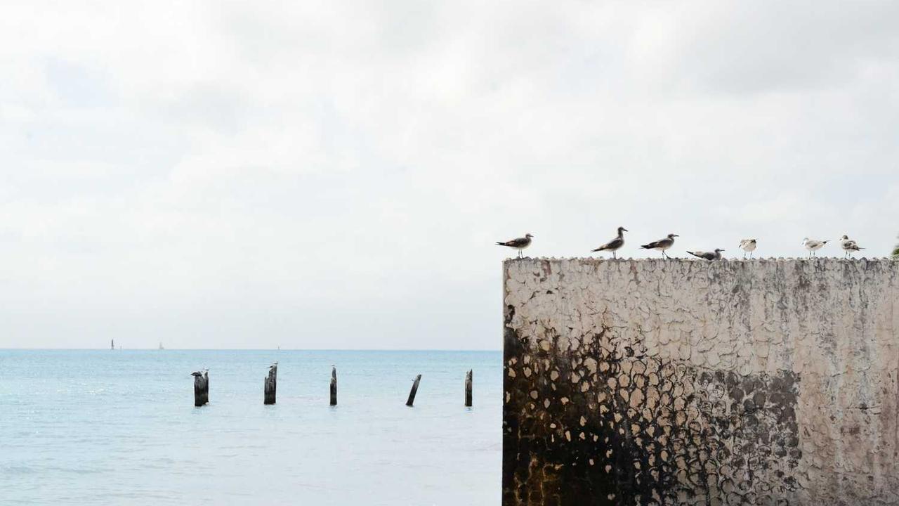 图片[2]-冒泡网创社区：汇聚创意项目的理想平台与合作空间-冒泡网