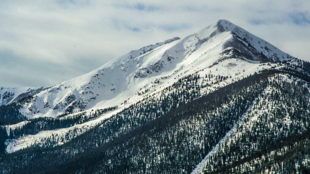 图片[2]-**“冒泡网赚：发掘多样化在线盈利机会”**-冒泡网