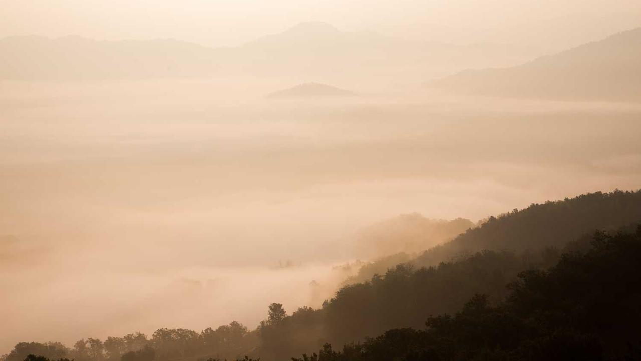 **冒泡网创社区：助力数字创新与合作的聚集地**-冒泡网