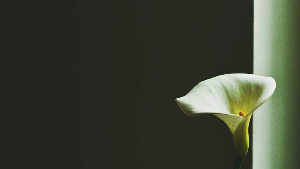 冒泡网赚：探索高效在线收入机会的实用策略-冒泡网