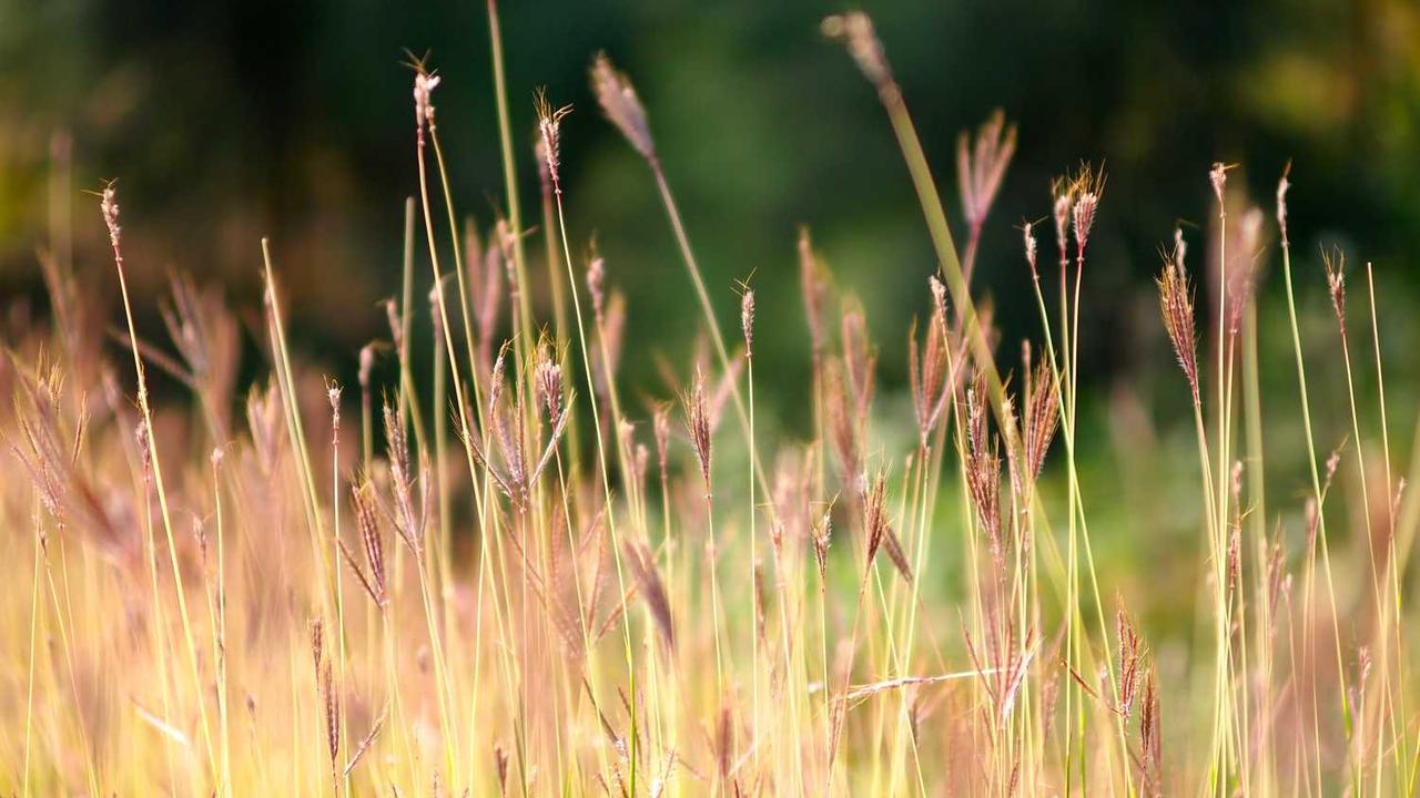 图片[2]-冒泡网赚：探索数字营销新机遇与挑战-冒泡网