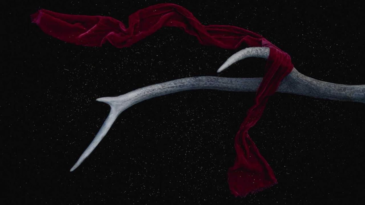 **掌握冒泡网创社区的创新潜力与合作机遇**-冒泡网