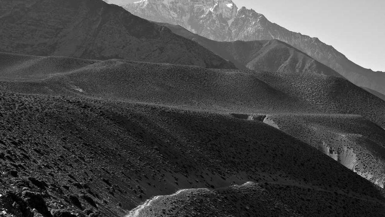 图片[2]-**掌握冒泡网创社区的创新潜力与合作机遇**-冒泡网