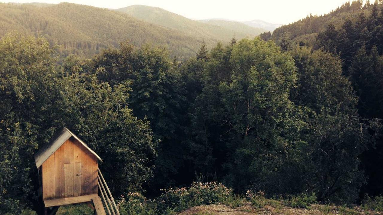 揭秘冒泡网赚：动态信息平台的盈利机会与策略-冒泡网