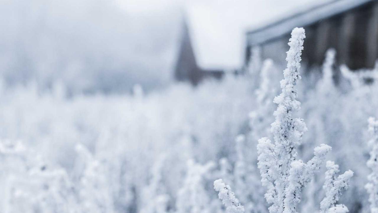 图片[2]-冒泡网赚：内容创作与盈利的有效路径探讨-冒泡网