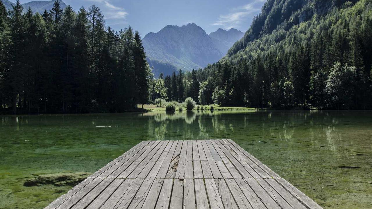 图片[3]-冒泡网创社区：数字创意与在线合作的创新平台-冒泡网