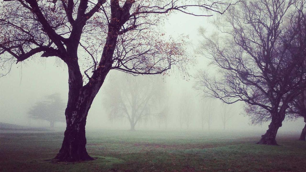 图片[2]-**“冒泡网赚：揭秘新型在线盈利机会”**-冒泡网