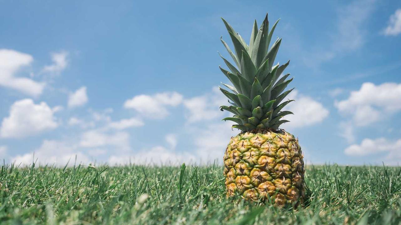 构建高效协作环境：探秘冒泡网创社区的潜力与发展-冒泡网