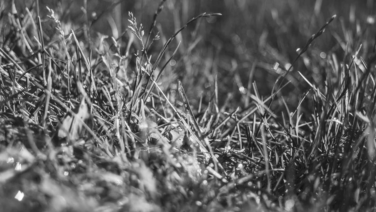 图片[2]-构建高效协作环境：探秘冒泡网创社区的潜力与发展-冒泡网